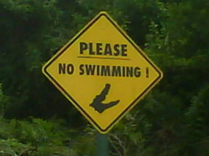 No Swimming!